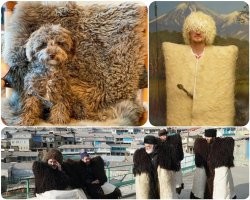 С Первым апреля Вас друзья и недруги. Прикольные картинки на завтрак