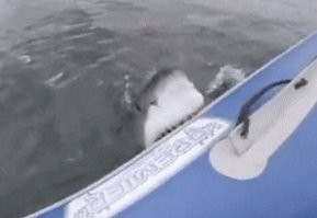 Всё ребяты, давай ко мне, на обед!