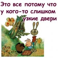 Самые забавные питомцы
