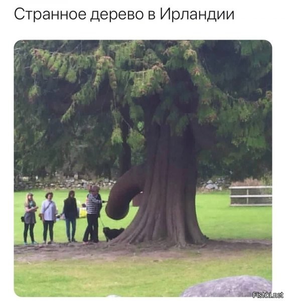 ну, видать лет 200 назад, то кому и дупло на пустыре сгодилось.... =)))