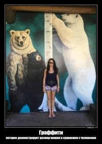 Веселые  картинки