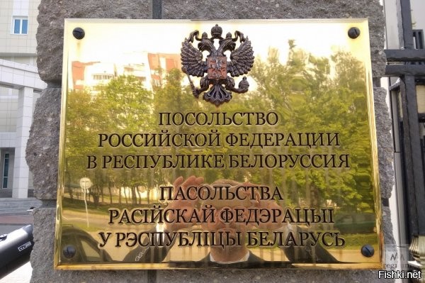 Грозный змагар, призывавший убивать милиционеров, оказался педиком и наркошей