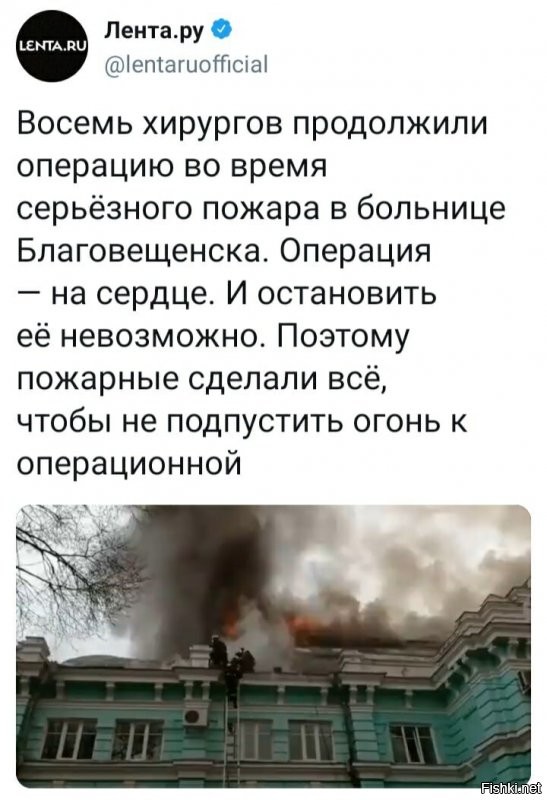 О политике и не только