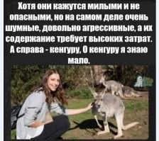 Смешные и познавательные картинки