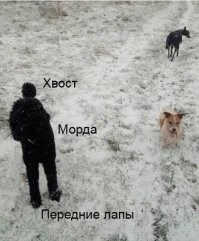 Просто протрите свои глаза и посмотрите эту подборку еще раз