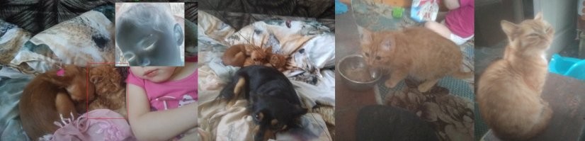 Дочи тоже притащили домой тощий-скатаный-рыже-серый тощий комок с улицы, который кто-то подкинул в подъезд другого дома. На улице минус 40-50 (север Иркутской обл). На вид ей около месяца или два. Была очень грязной и очнь худой - действительно можно было ребра и позвонки пересчитать, плюс "каташки". Отъедается и пополняется, но до сих пор вечно голодная и хочет ласки.