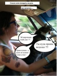 Веселые  картинки