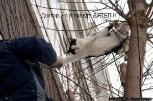 Веселые  картинки