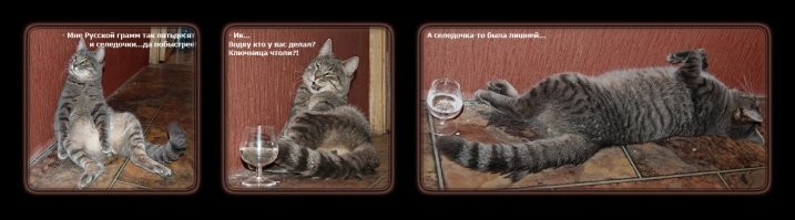 Алкопост на вечер этой пятницы