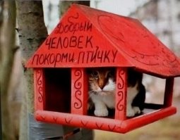 Веселые  картинки
