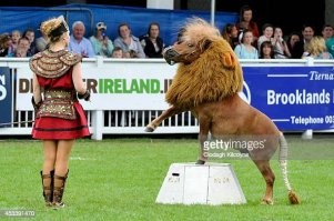 В китайском зоопарке подменили льва собакой