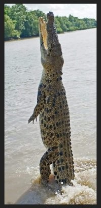 Ошибаетесь :)