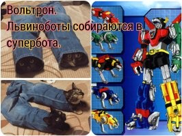 Смешные и познавательные картинки
