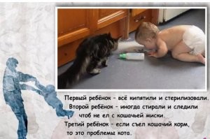 Веселые  картинки