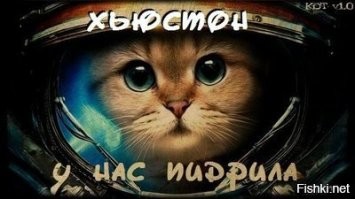 Смешные СМС-переписки, которые зарядят вас позитивом