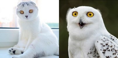 И не поспоришь