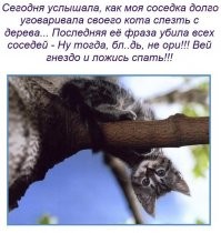 Веселые  картинки