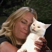 Веселые мемы с котом, которые рассмешат любого