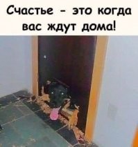 Веселые  картинки