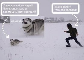 Просто гифки, всякие и разные