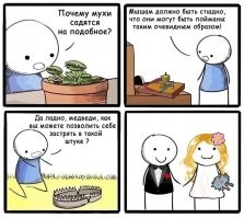 Взгляд на одни и те же вещи глазами мужчин и женщин