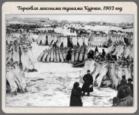 Офигеть сколько. Толь вот подскажите чьи это туши?