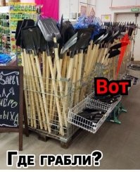 Веселые  картинки
