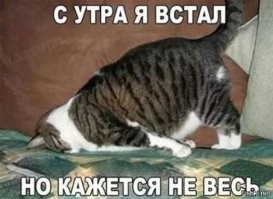 Веселые  картинки