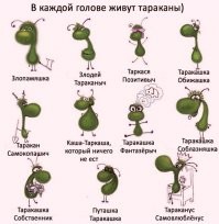 Маразм крепчал: девушка везде носит с собой чучело лисы по кличке Иисус