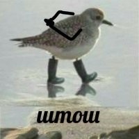 штош, значит что-то подспудно вас что-то гнетет, вызывая серьезную деформацию восприятия