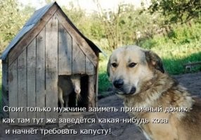 Как живется обладателю частного острова во Флориде?