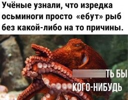 Смешные и познавательные картинки&nbsp;