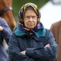 Смешные и познавательные картинки