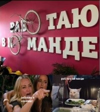 Веселые мемы с котом, которые рассмешат любого