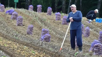 В сети сравнили постеры фильмов с их сюжетом