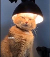 Смешные комментарии из соц.сетей