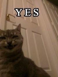 Смешные комментарии из соц.сетей