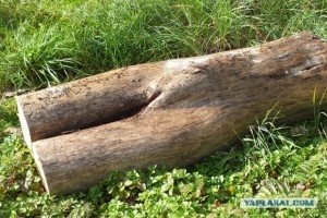 Новые прикольные демотиваторы для поддержания вашего отличного настроения!