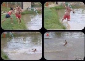 Почти получилось: неудачный весенний забег по льдинам