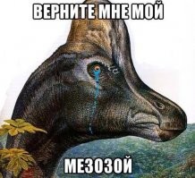 Веселые  картинки