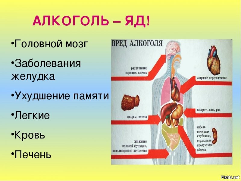 Чем меньше алкобарыг  продают свою  отраву,  тем лучше.