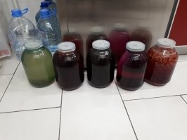 Запрещённое в России ремесло, которое разрешено во всём мире