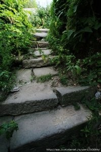 Во Льве-Толстом прошло моё детство.
Сейчас живу в Воронеже и у нас есть спуск к водохранилищу из надгробных плит.
А еще есть парк ЖиМ (живых и мёртвых) на месте старого кладбища.
И вокруг города, в лесах полно заброшенных старинных кладбищ...