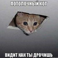 Подборка прикольных картинок 06.04.2021