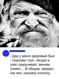 Смешные комментарии из соц.сетей