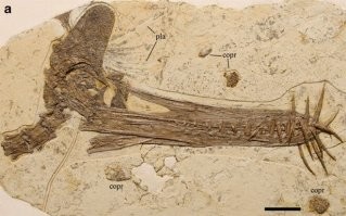 Точно просто они нестой стороны смотрят