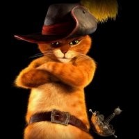 Смешные и познавательные картинки