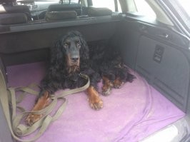 Мой в багажнике ездит.