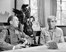 «Служебный роман», «Секретная миссия», «Пакет», «Бриллиантовая рука» и еще несколько фильмов)