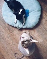 Подборка одной парочки живущей вместе.